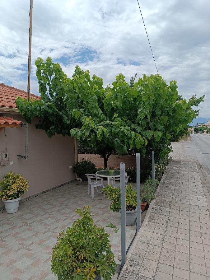 Chrysa'S House Apartment Айгио Екстериор снимка