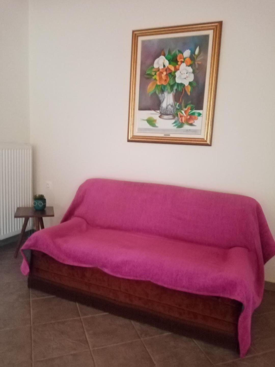 Chrysa'S House Apartment Айгио Екстериор снимка